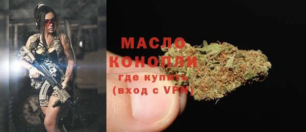 гашик Дмитров