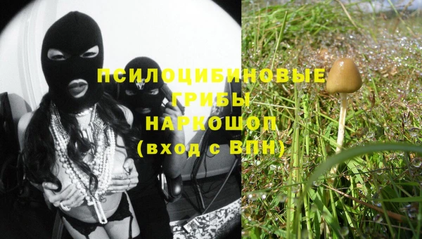 дживик Алексин