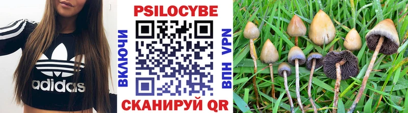 Псилоцибиновые грибы GOLDEN TEACHER закладка Апшеронск
